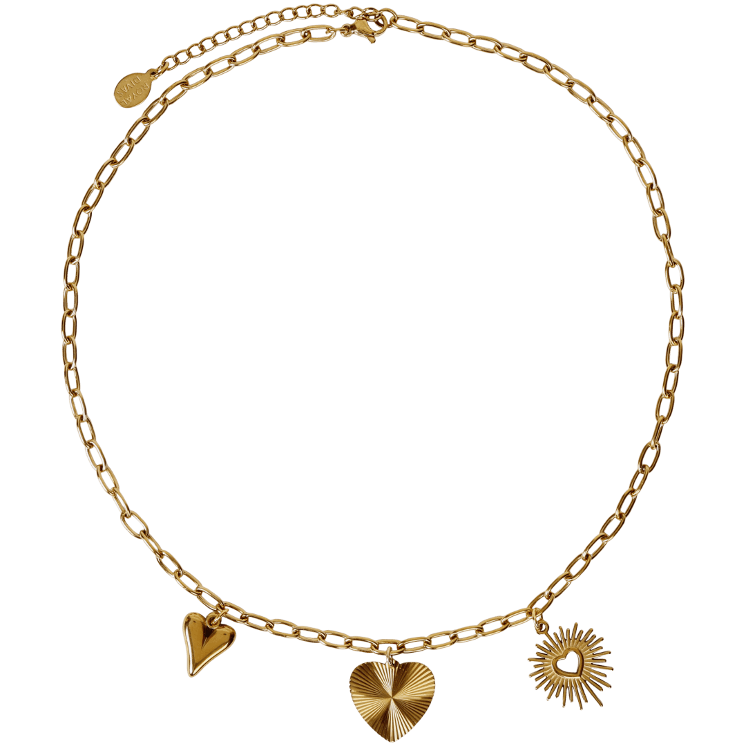 Stainless steel bedelketting 4
