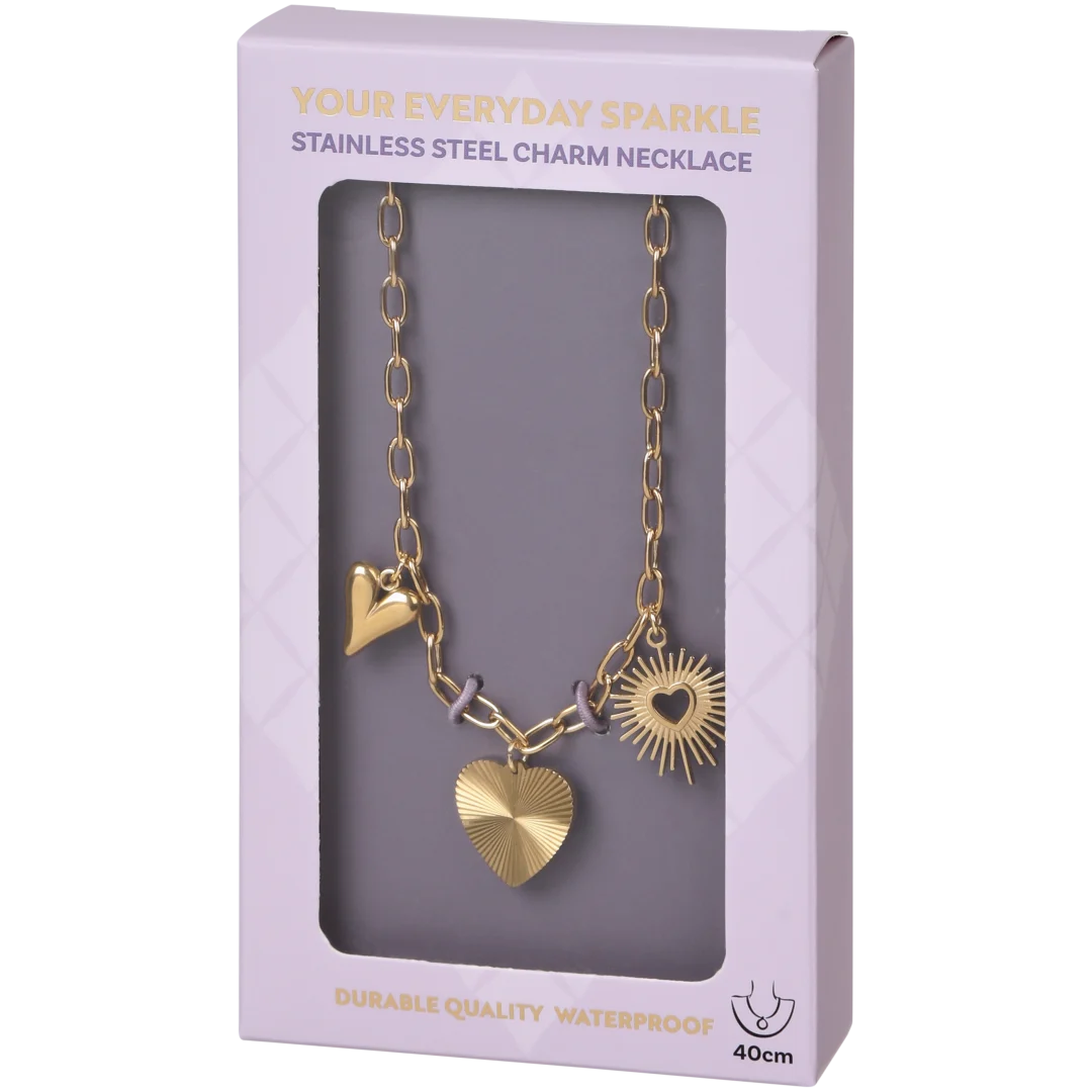 Stainless steel bedelketting 5