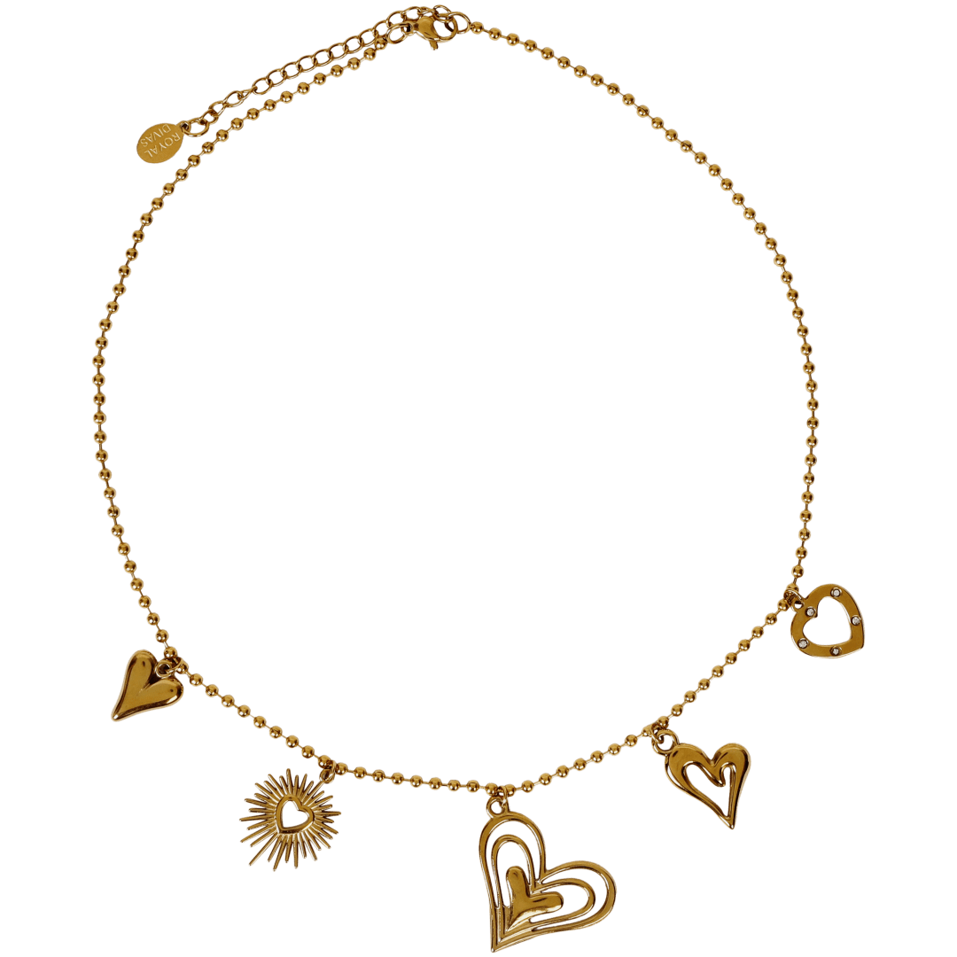 Stainless steel bedelketting 2