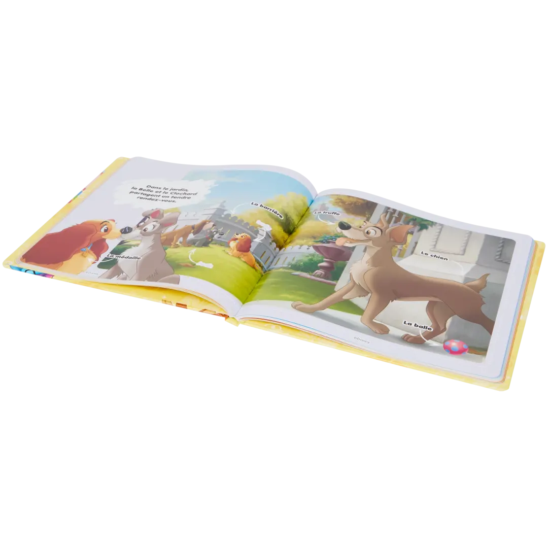 Dictionnaire pour enfants