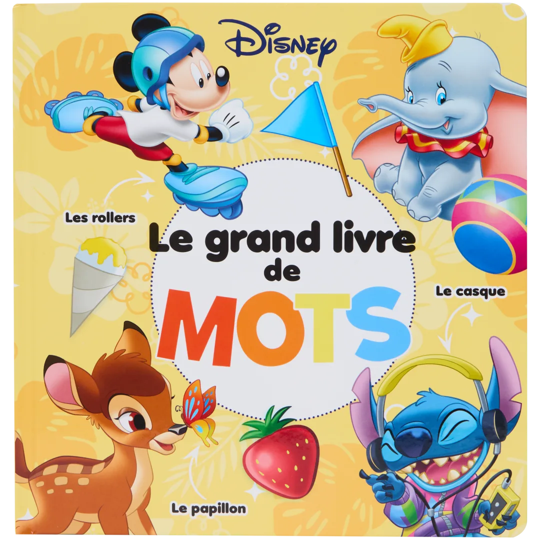 Dictionnaire pour enfants