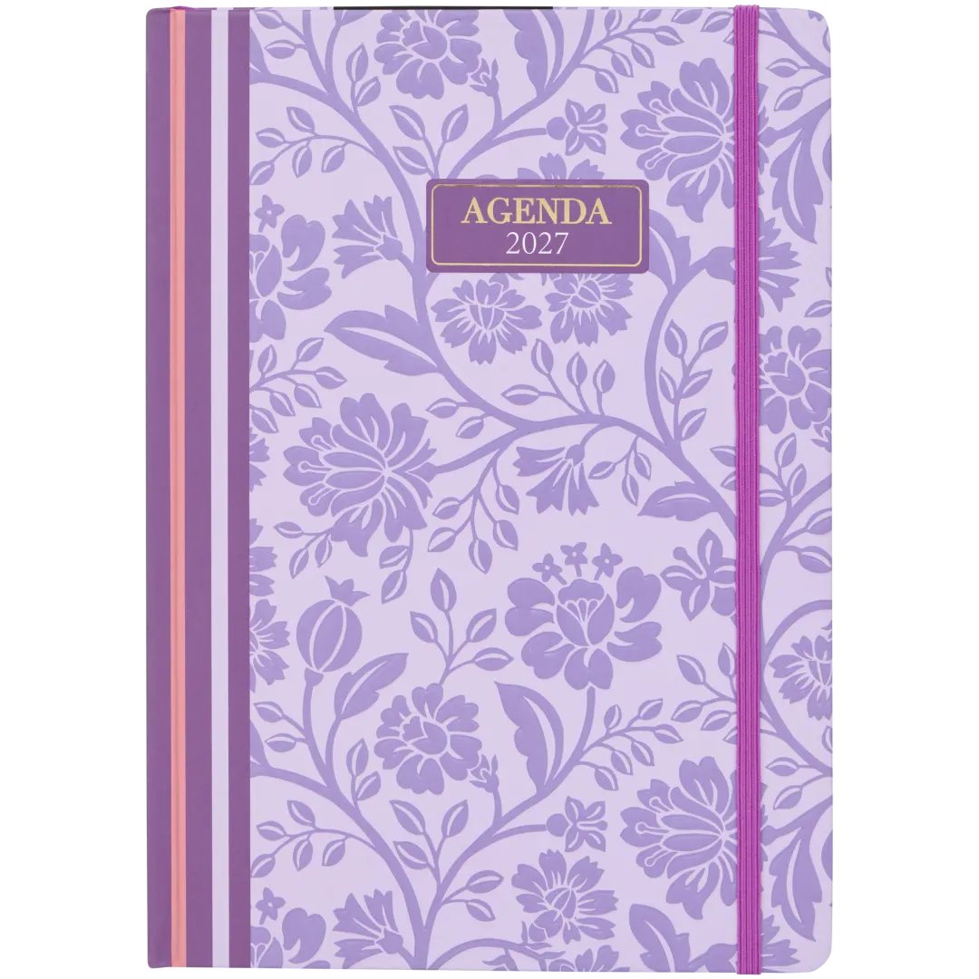 Agendă 2027