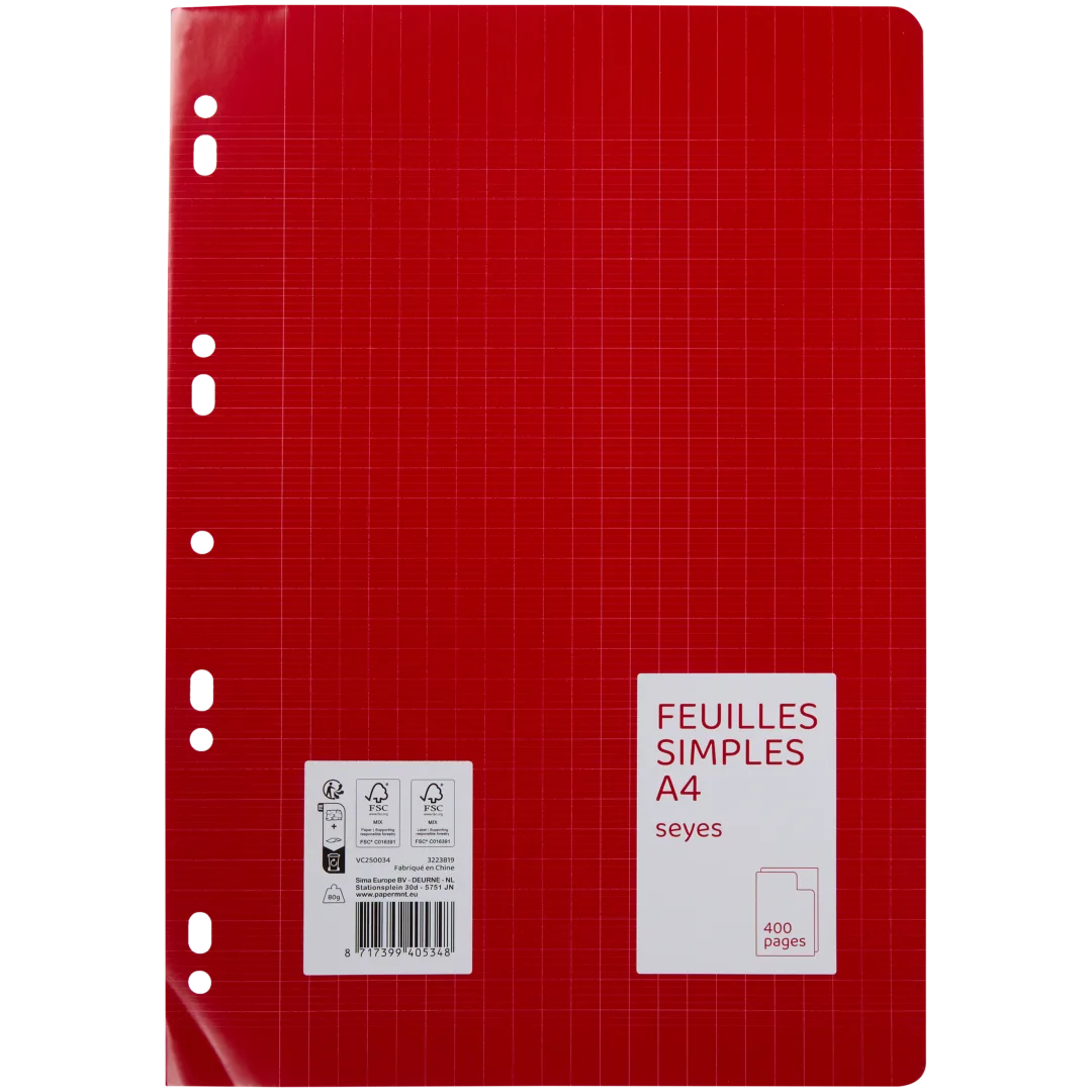 Copies doubles perforées A4