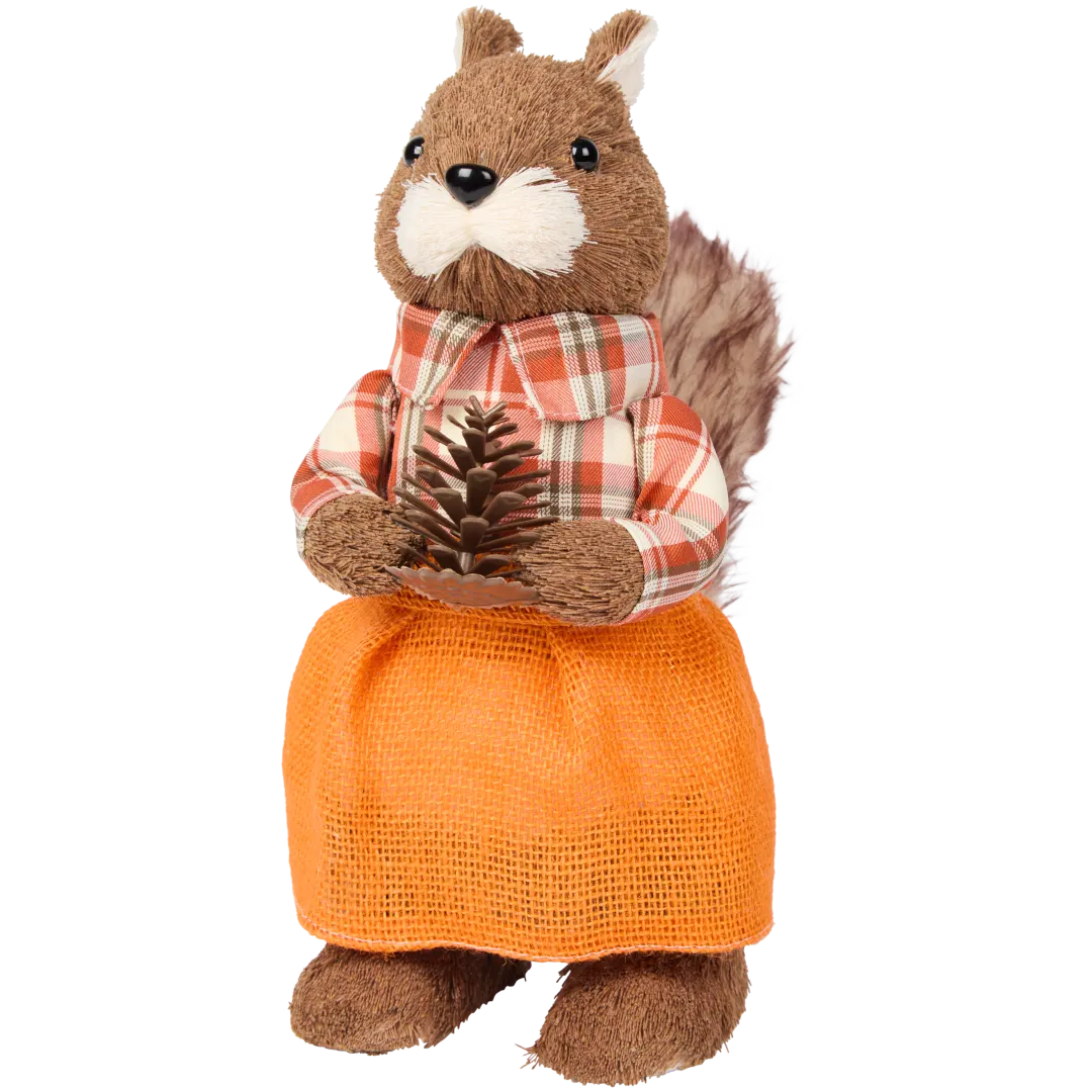 Eichhörnchen oder Schottisches Hochlandrind 1