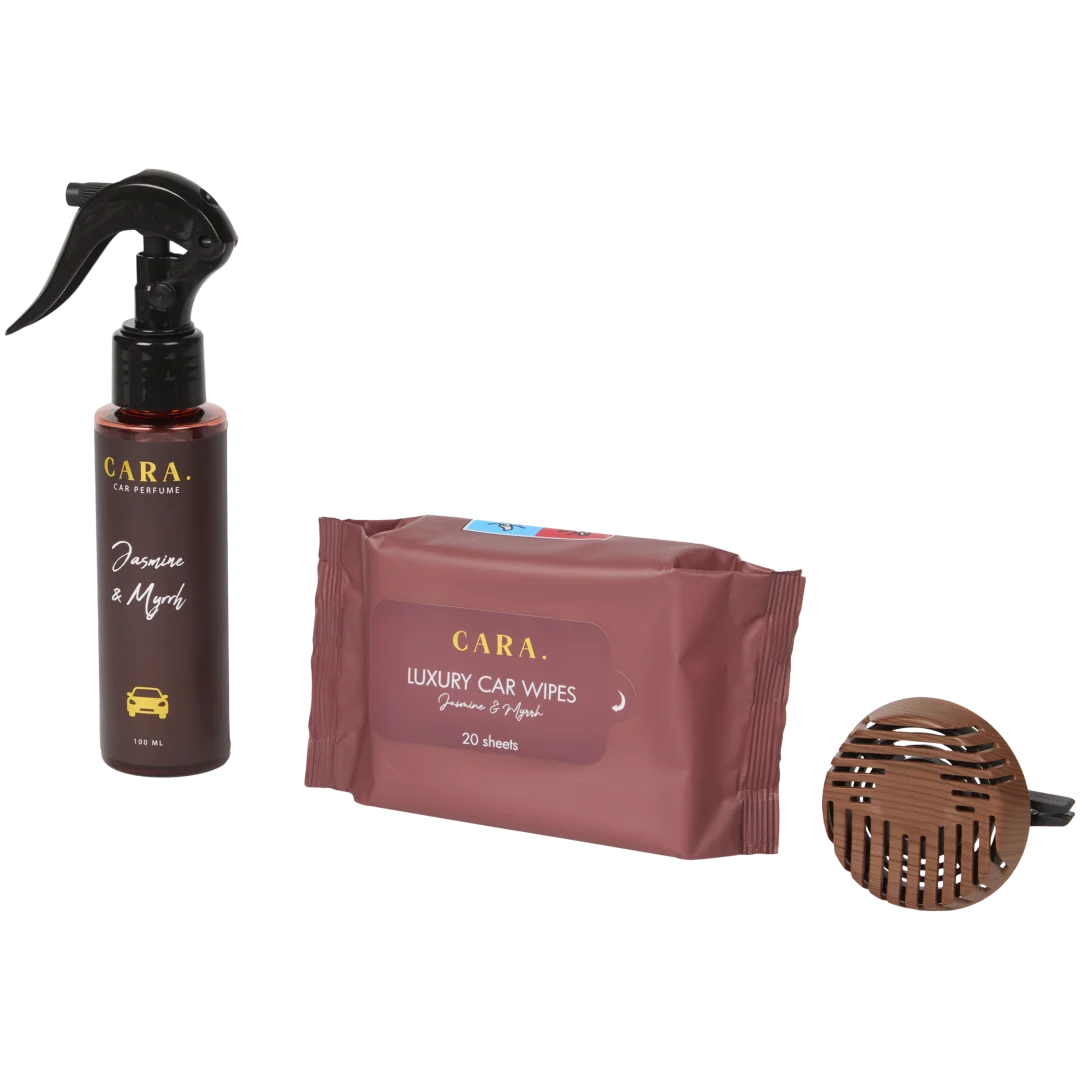 Conjunto de oferta para automóvel com ambientador 5