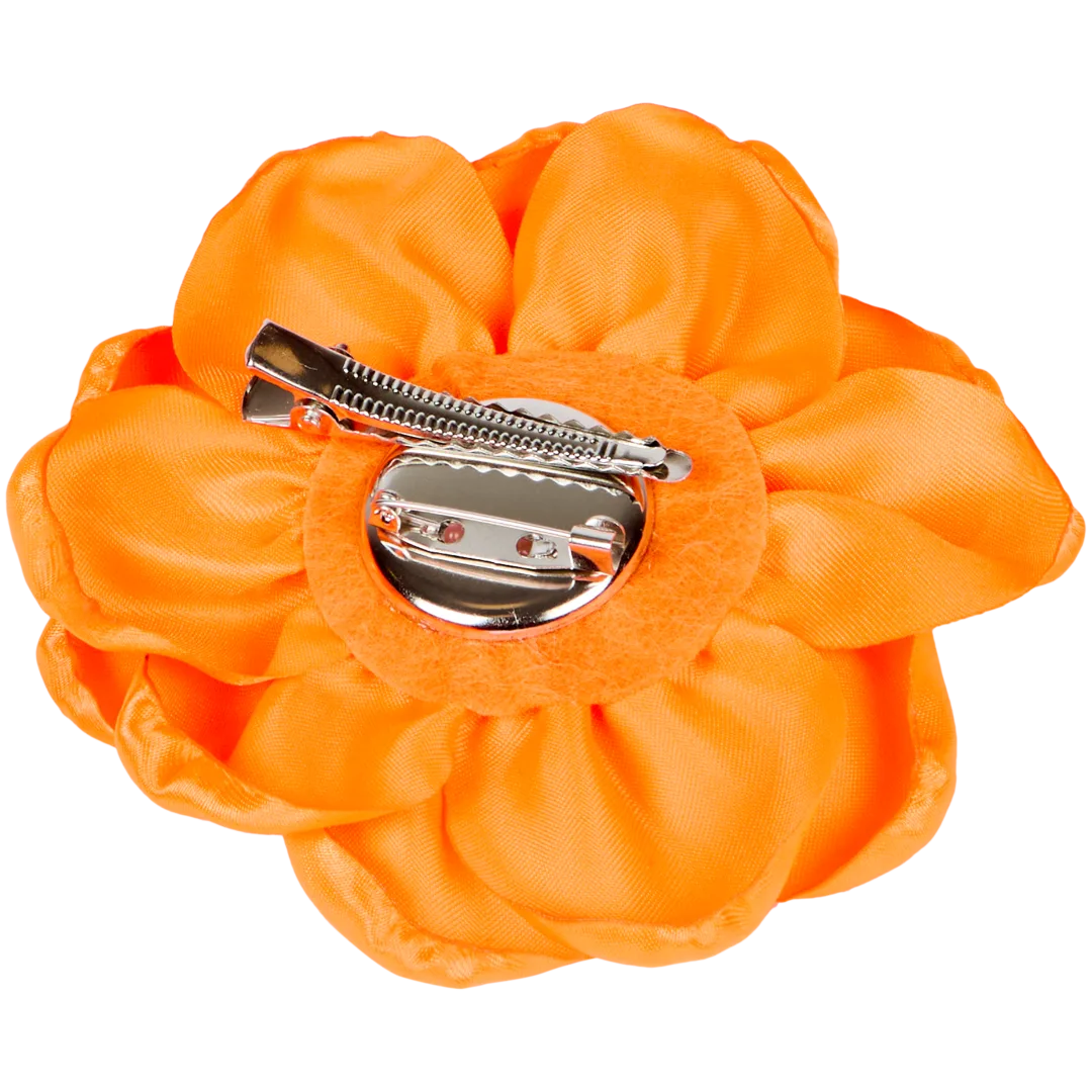 Accessoires