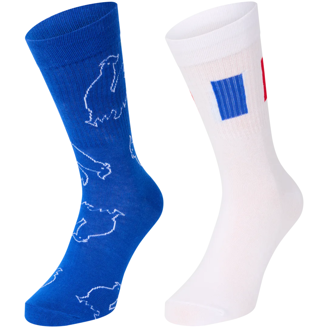 Chaussettes de sport France 1