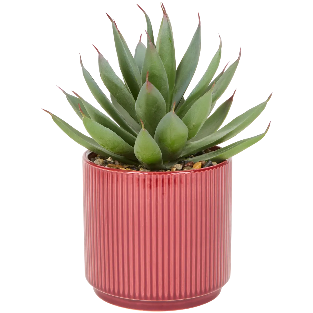 Plante grasse artificielle en pot