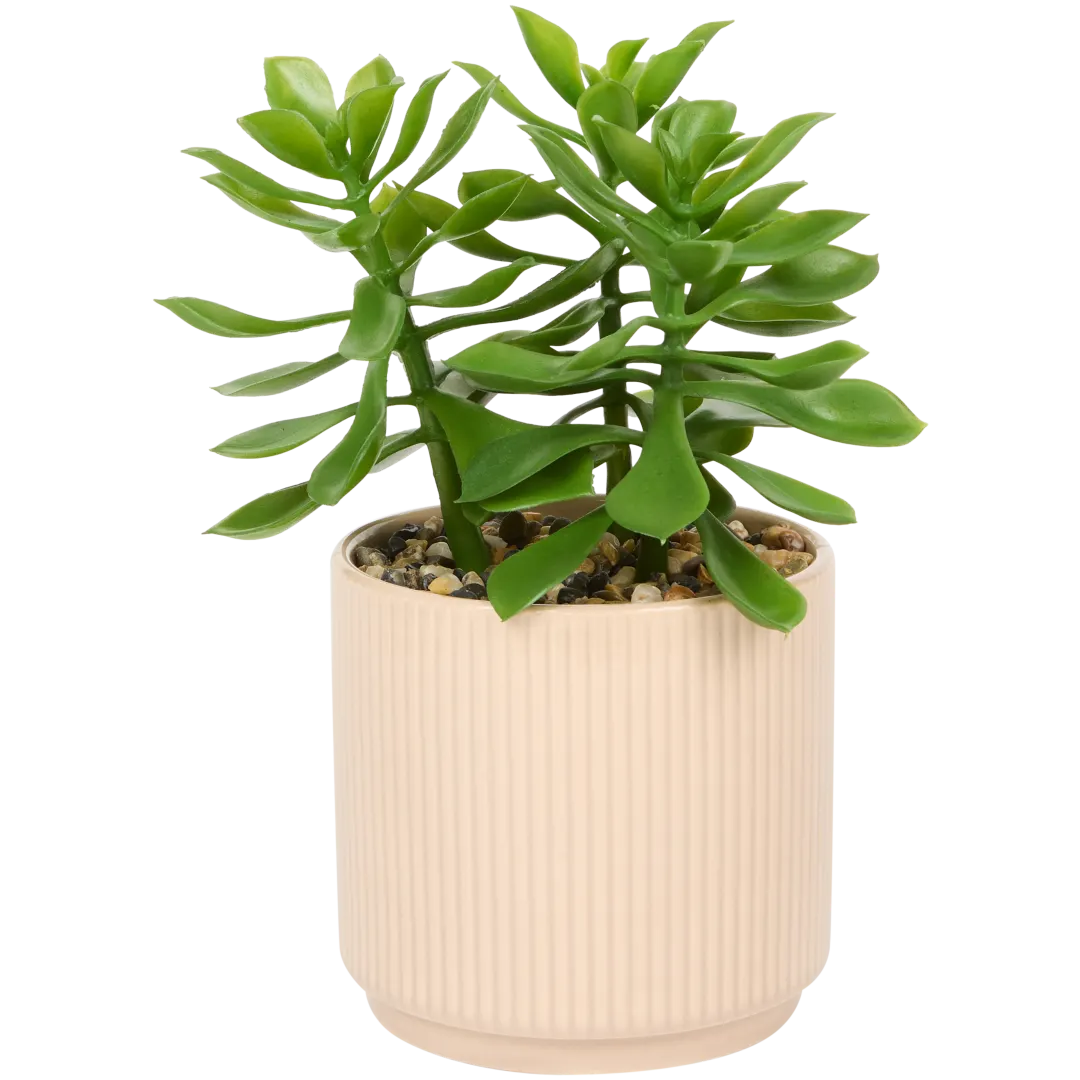 Plante grasse artificielle en pot