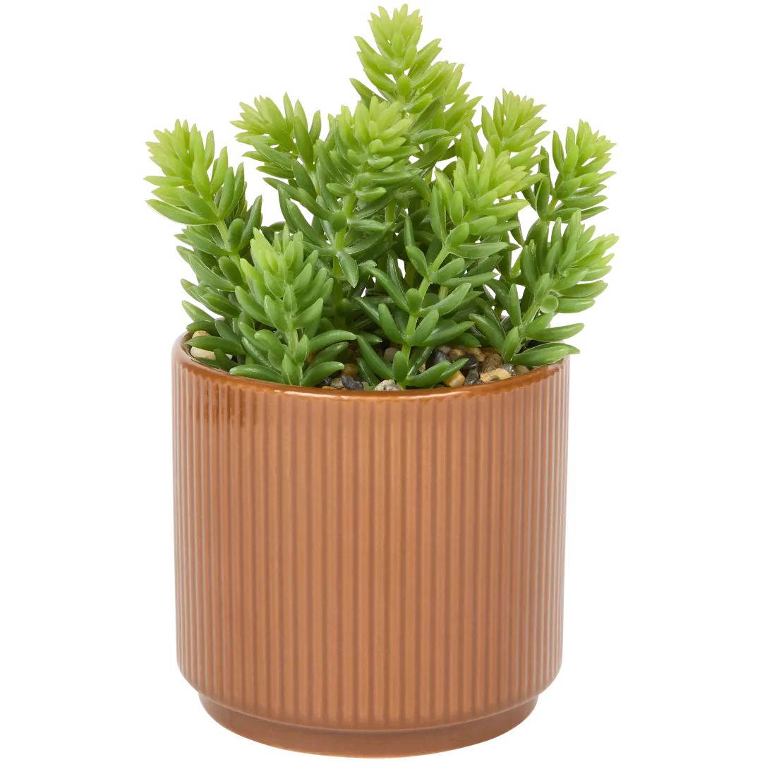 Plante grasse artificielle en pot