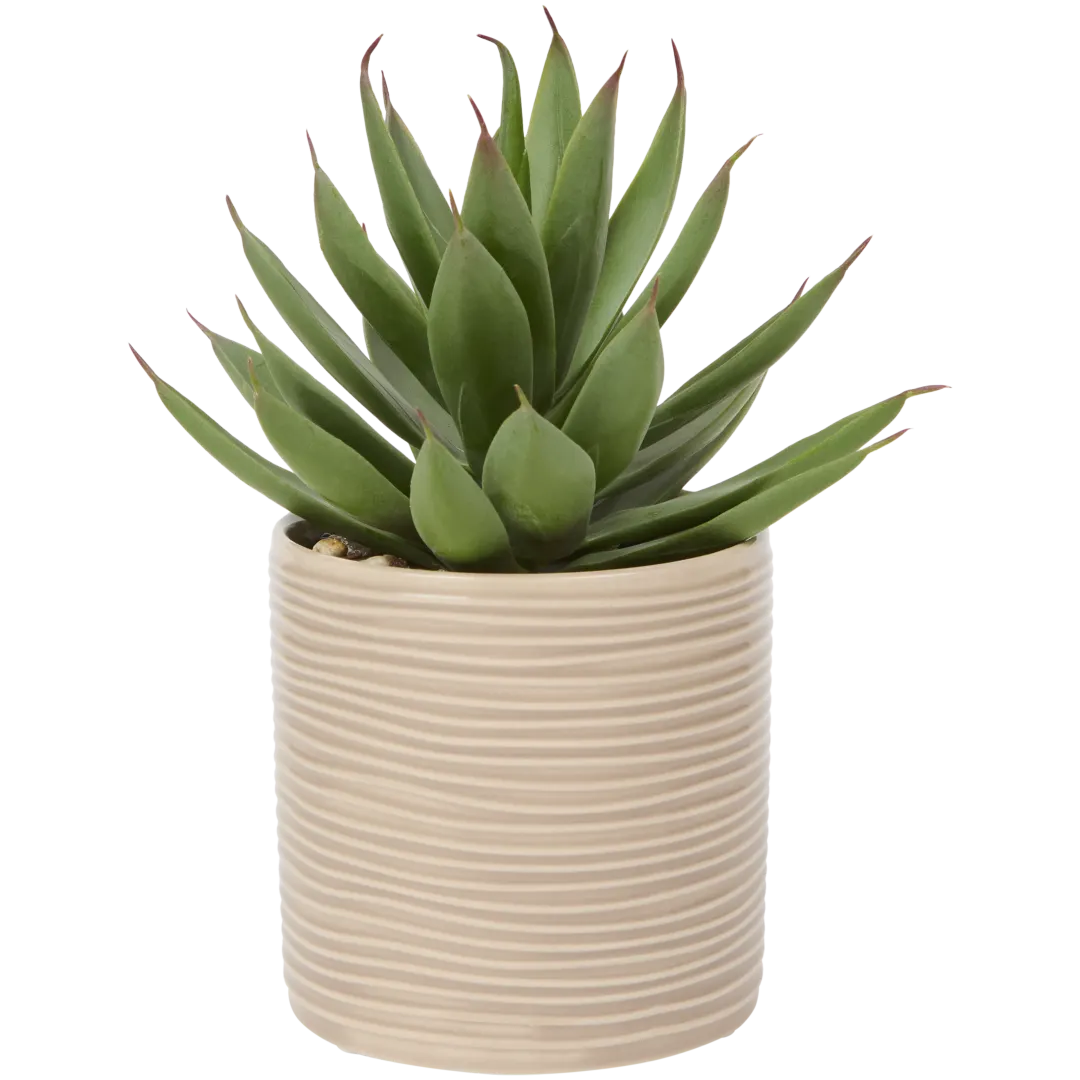 Plante grasse artificielle en pot