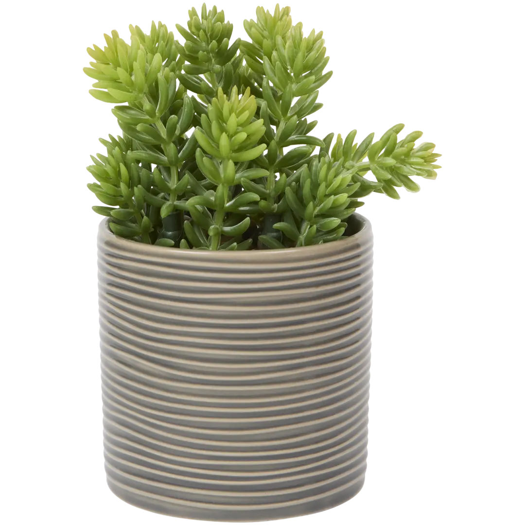 Plante grasse artificielle en pot