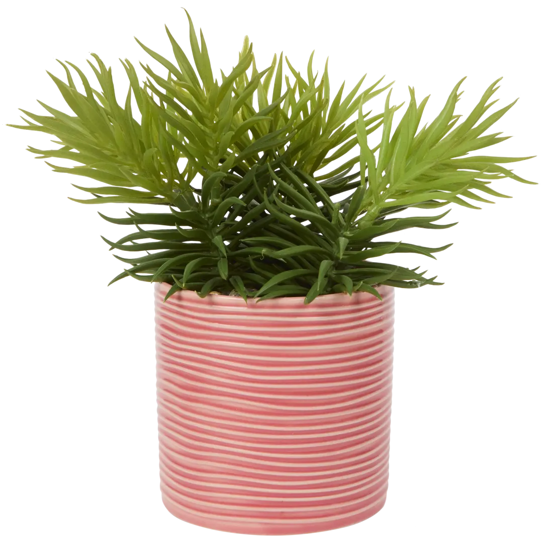 Plante grasse artificielle en pot
