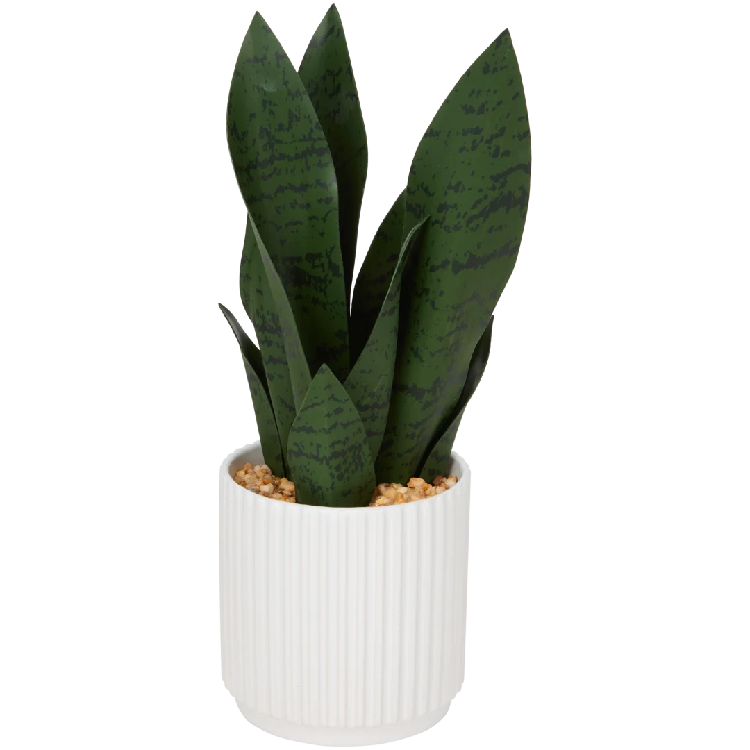 Sansevieria artificială în ghiveci