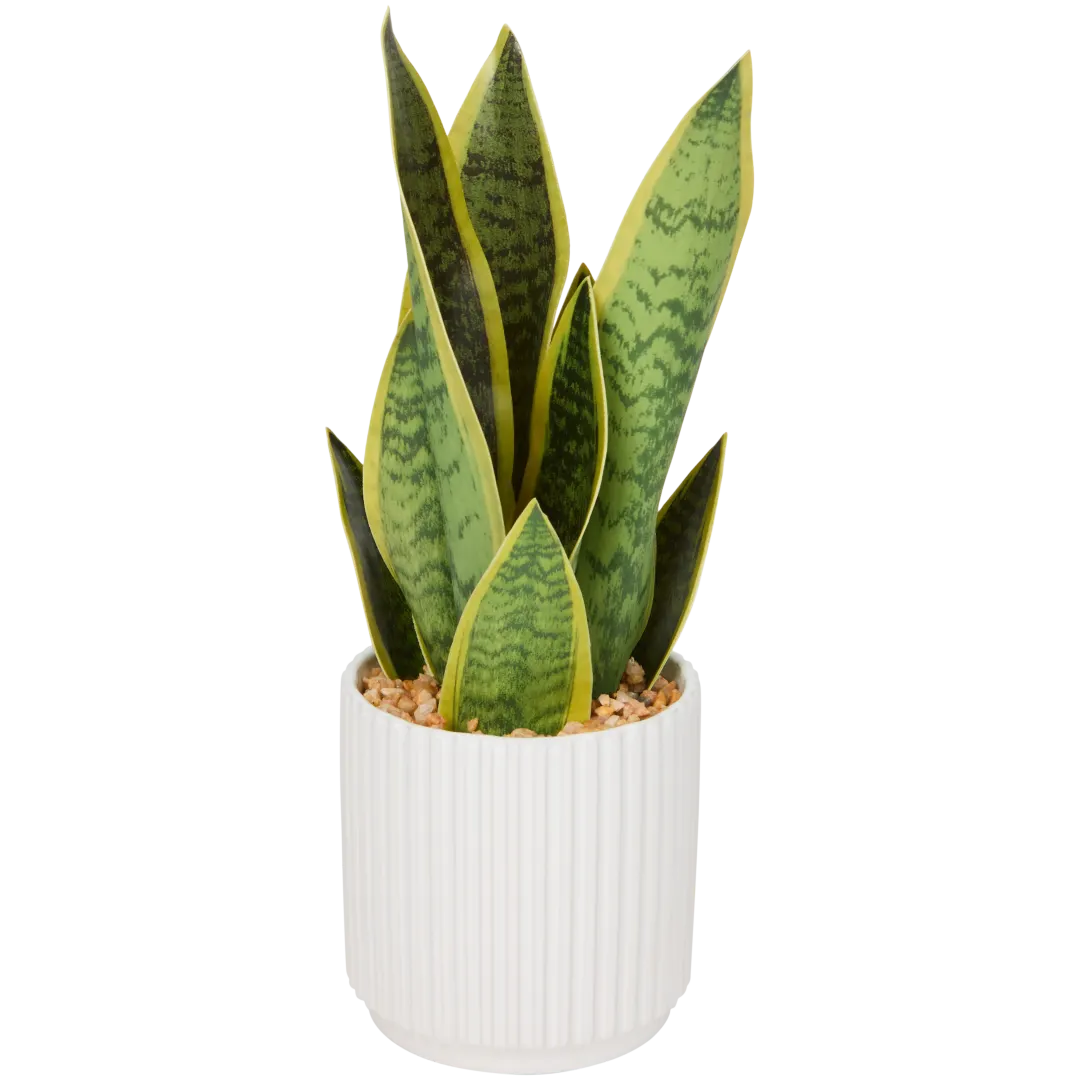 Sansevieria artificială în ghiveci