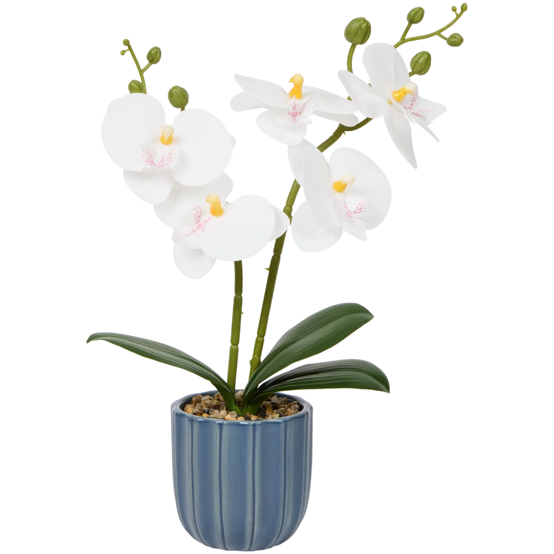 Kunstorchidee in pot