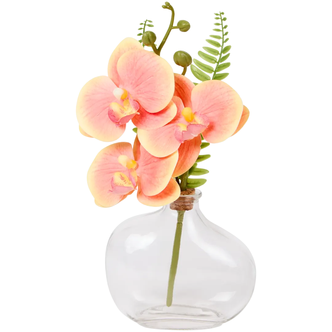 Excellent Flowers orchidee in pot