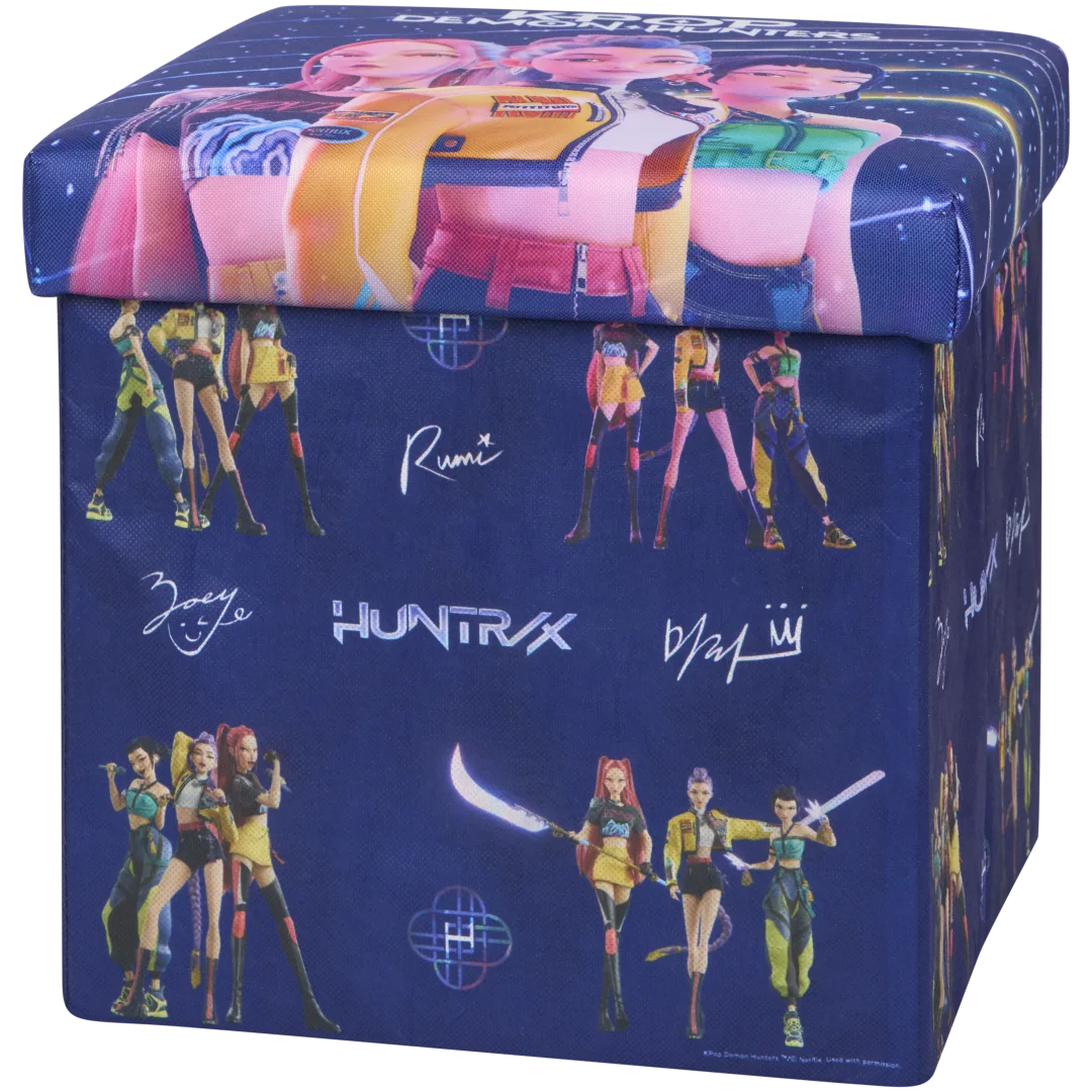 Opvouwbare opbergbox met deksel 5