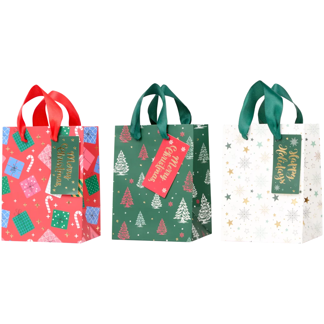 Cool2Party Kerst cadeautasjes