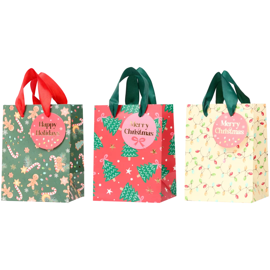 Cool2Party Kerst cadeautasjes