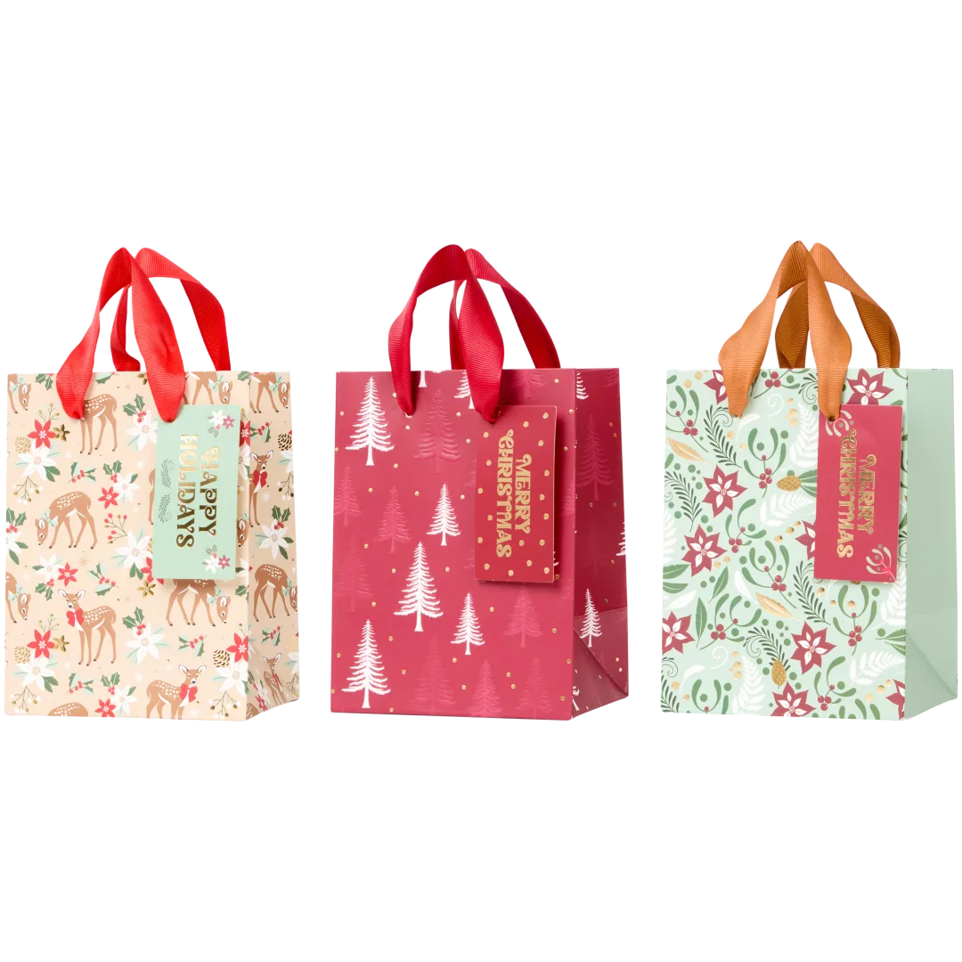 Cool2Party Kerst cadeautasjes