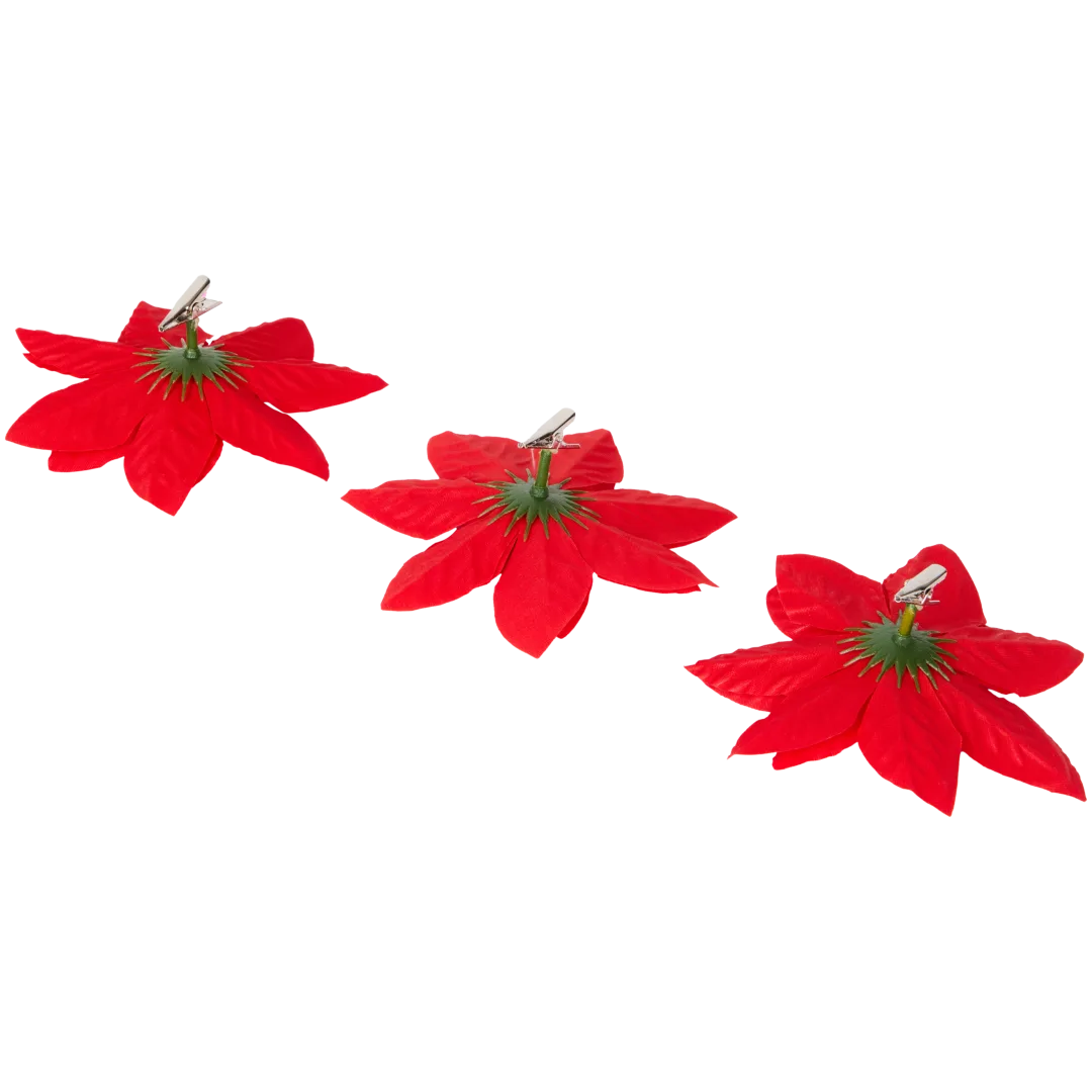 Kerstster op clip