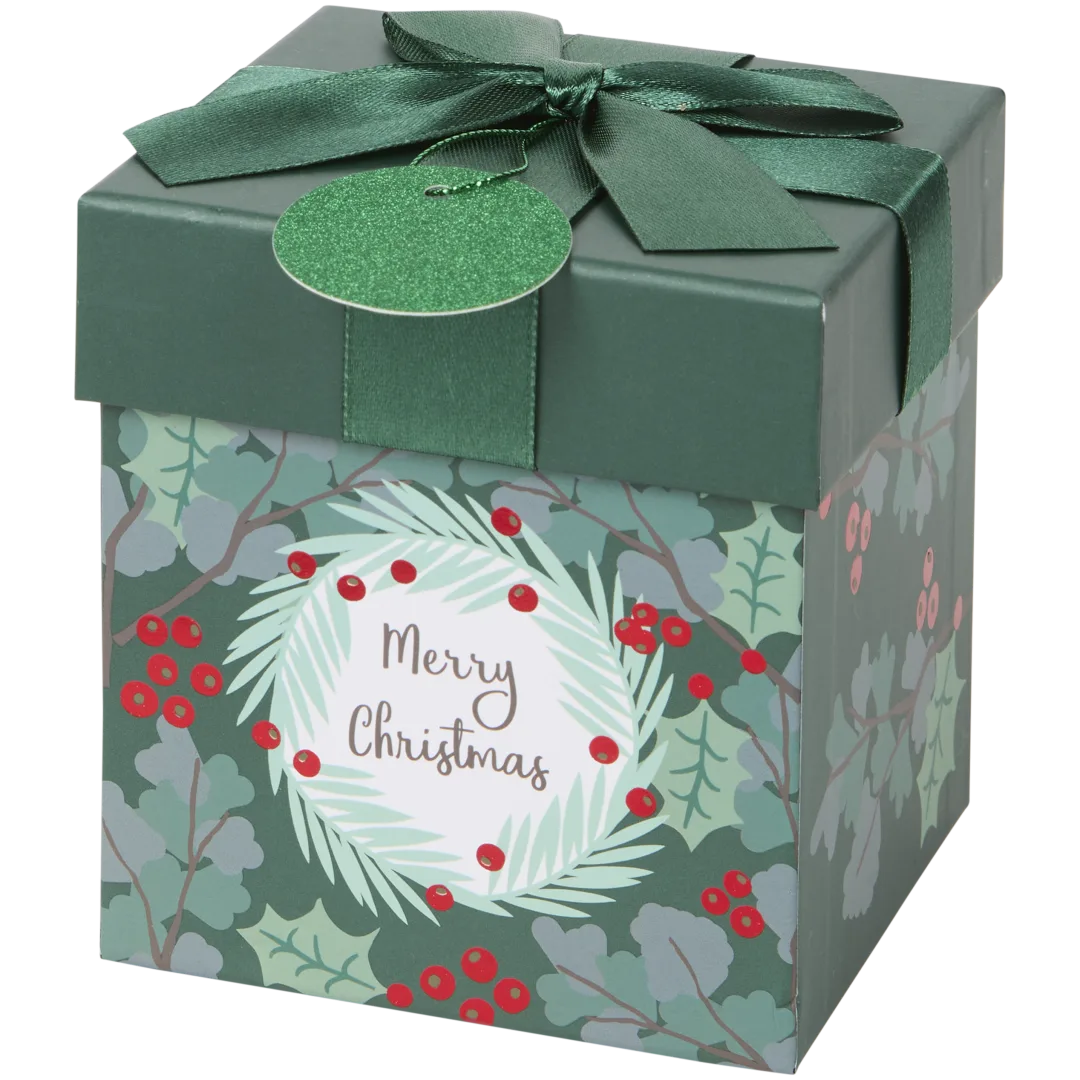 Kerst geschenkbox