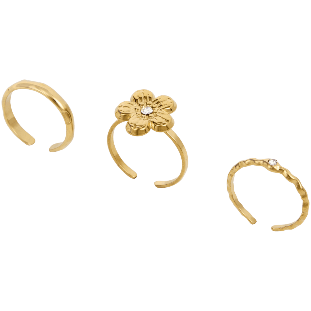 Conjunto de anéis 3