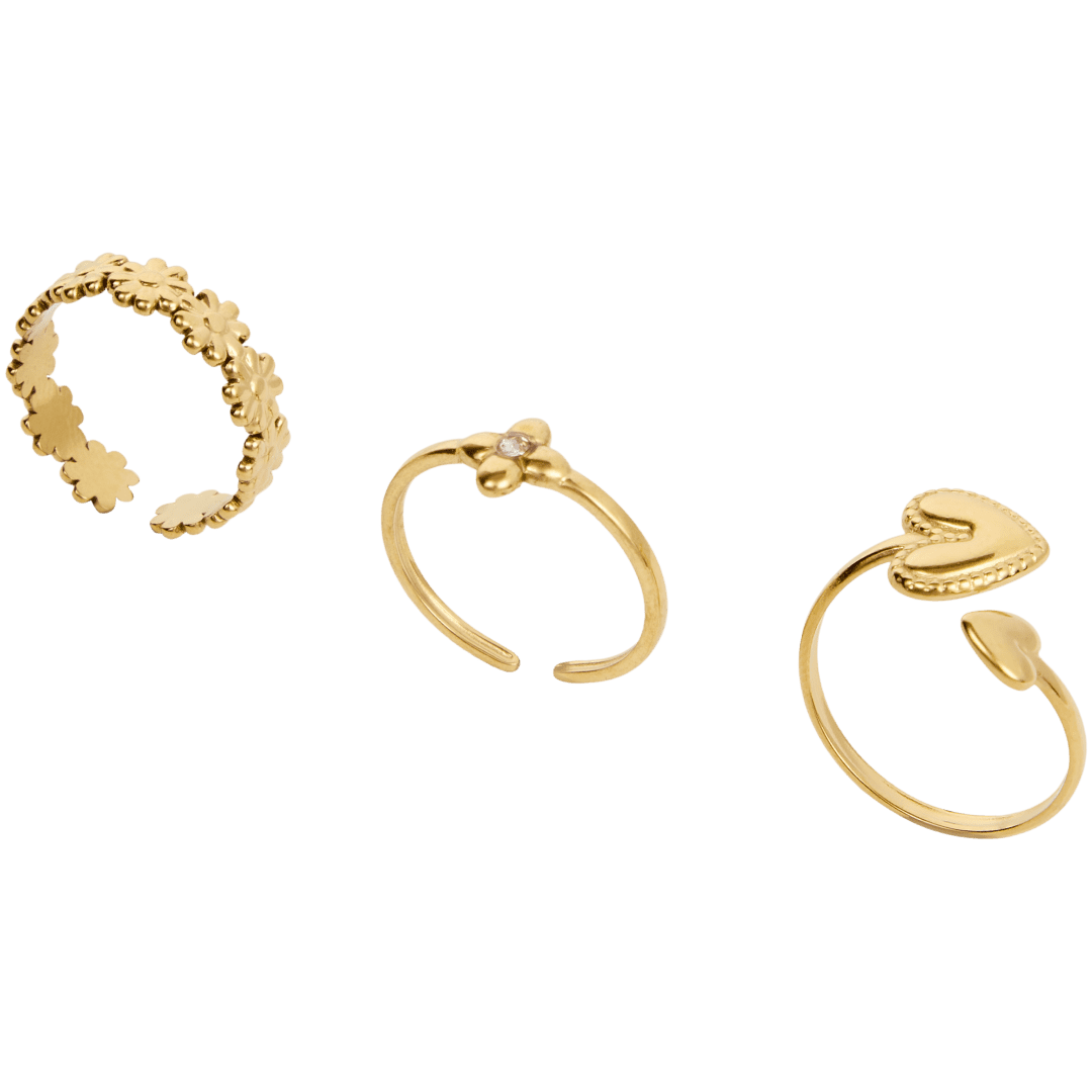 Conjunto de anéis 1