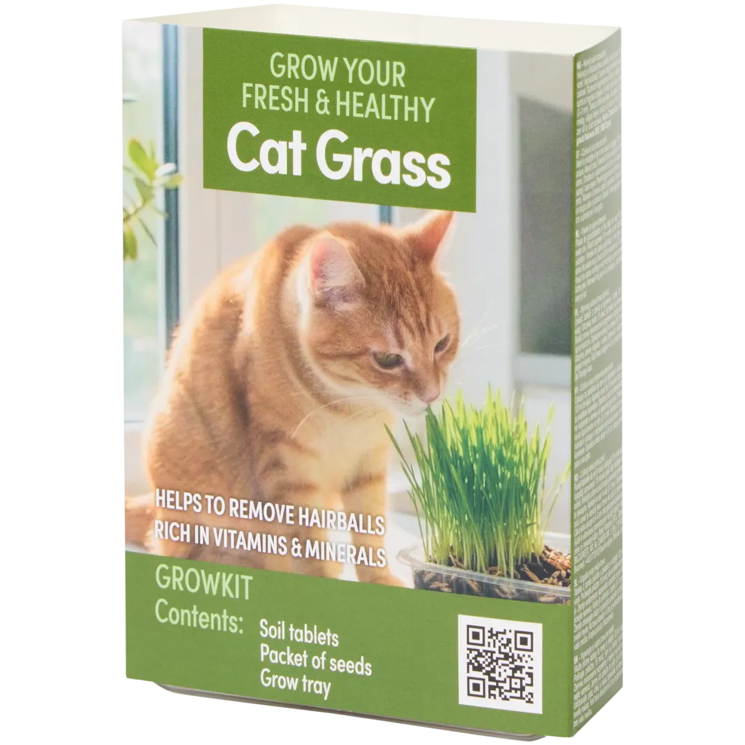 Kattengras kweekset 1