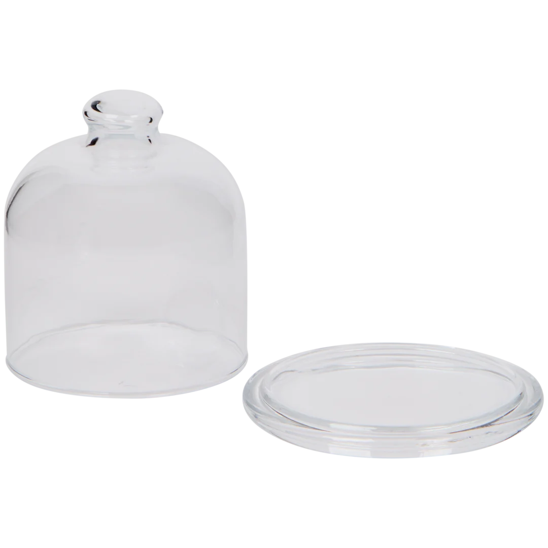 Plat avec cloche en verre 2
