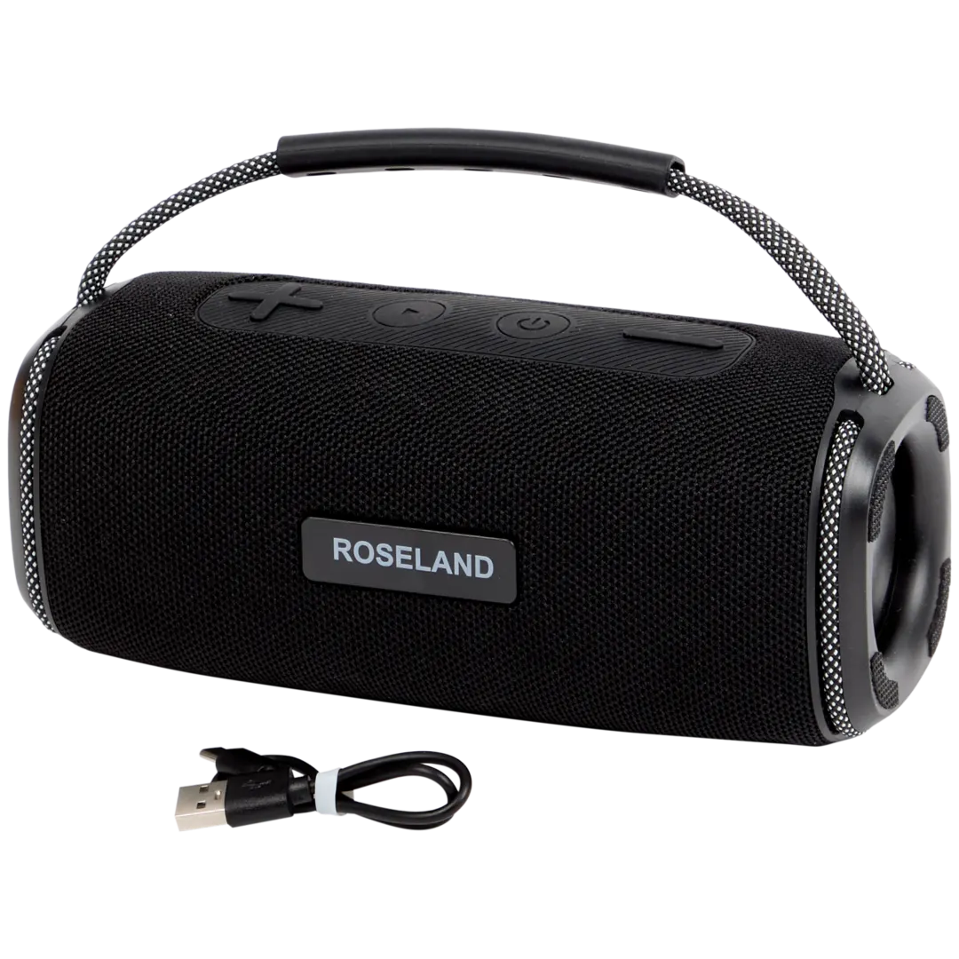 Reproduktor Roseland RS-510 2