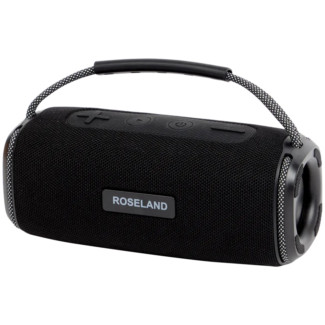 Reproduktor Roseland RS-510 1