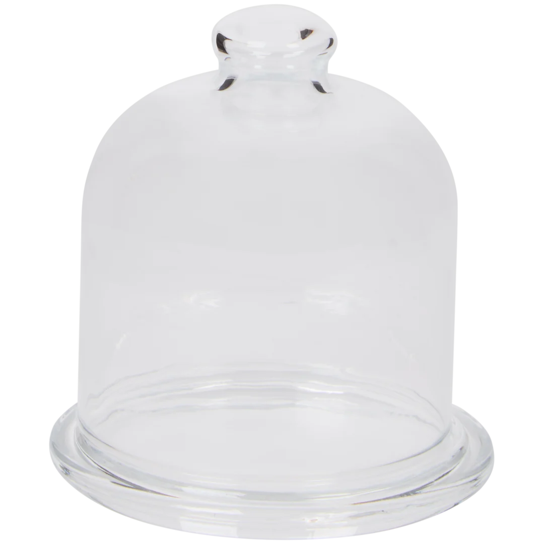 Plat avec cloche en verre 1