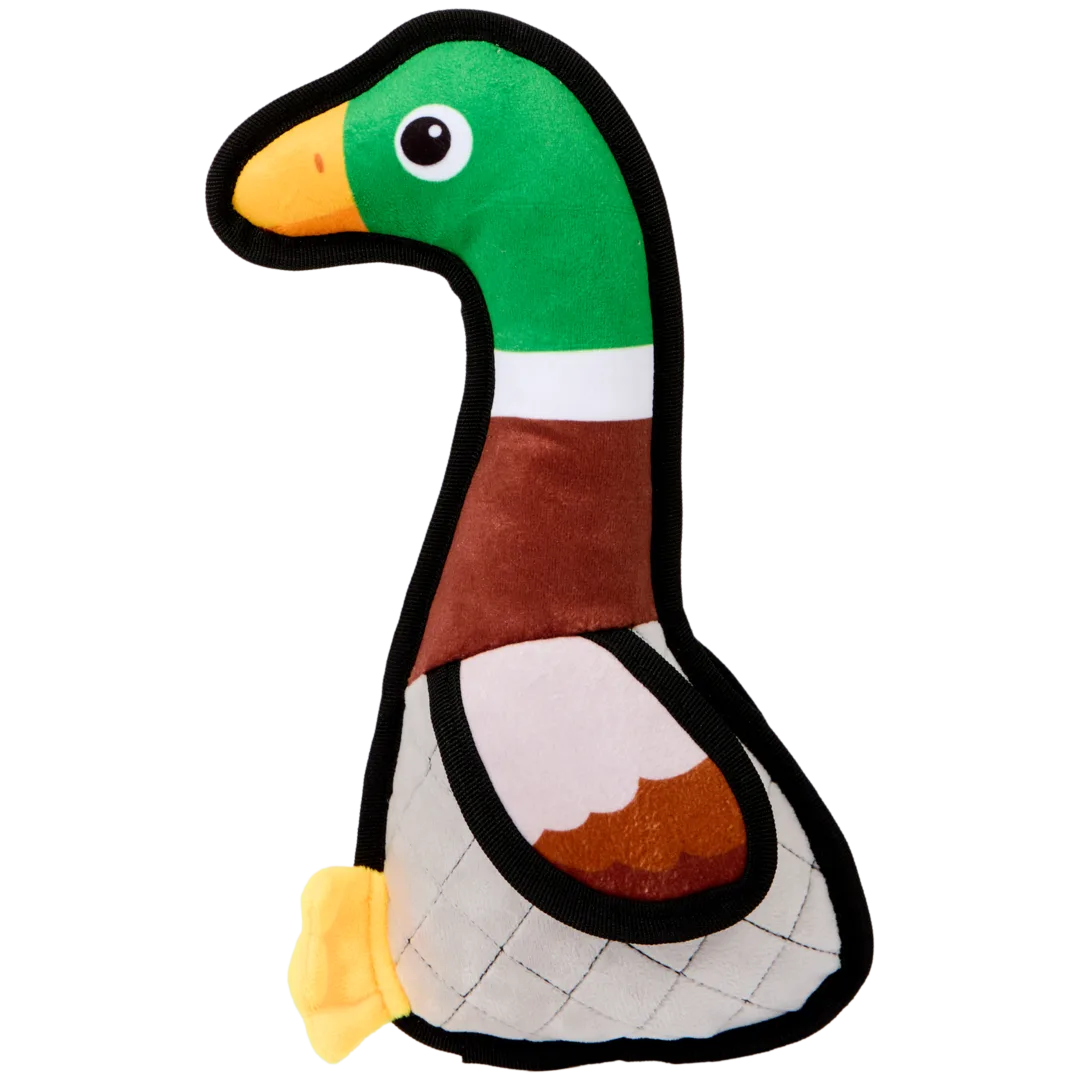 Hundespielzeug Vogel 3