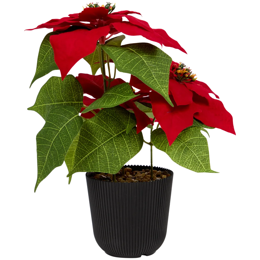 Stella di Natale artificiale Home Accents