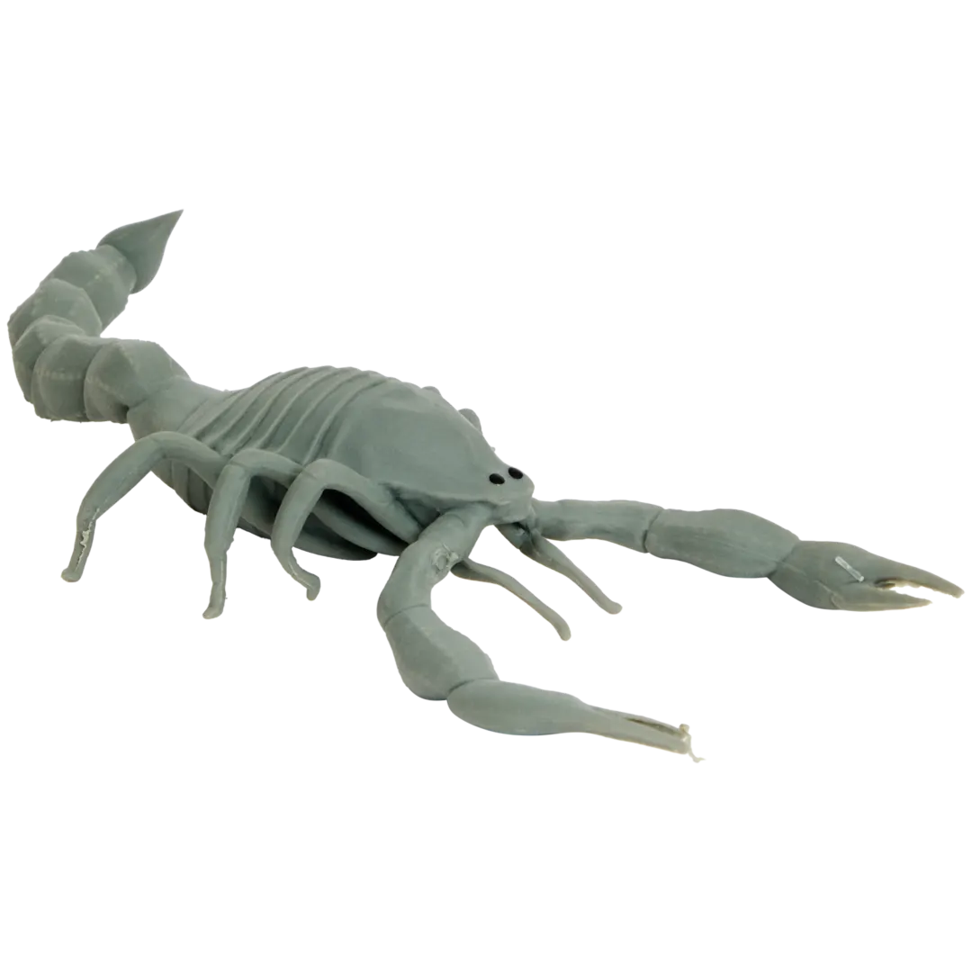 Animal élastique Creepsterz 8