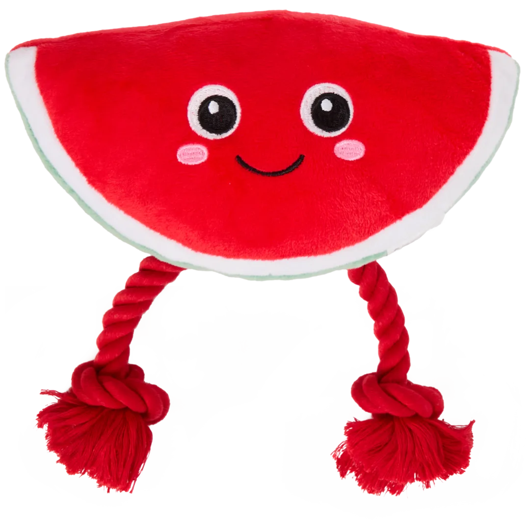 Zabawka dla psów
