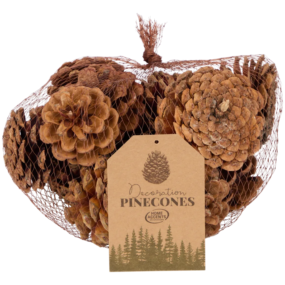 Pommes de pin décoratives Home Accents 2