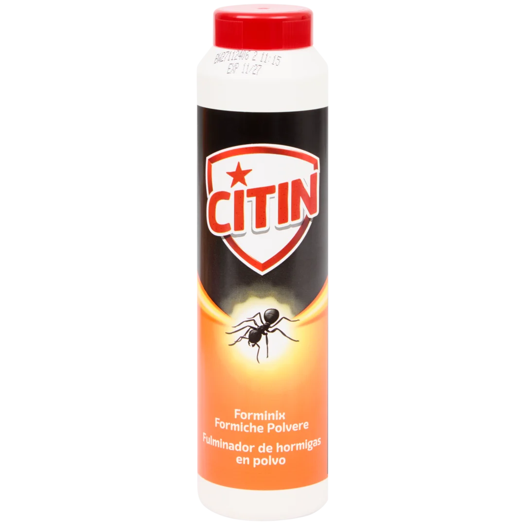 Polvere formiche Citin