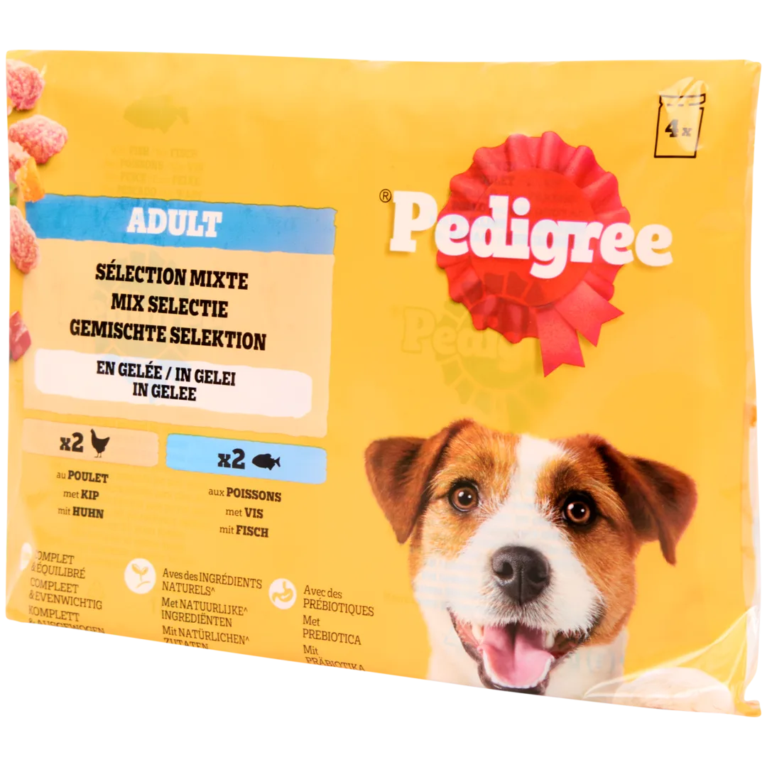 Pedigree Hundefutter Huhn & Fisch 1