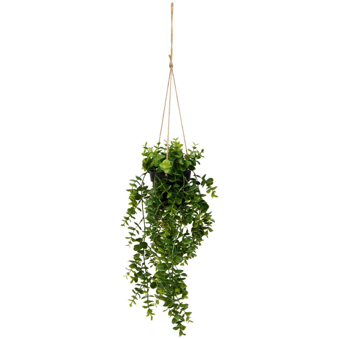 Kunsthangplant