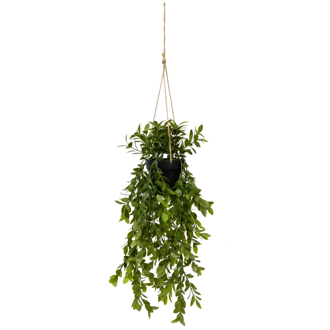 Kunsthangplant