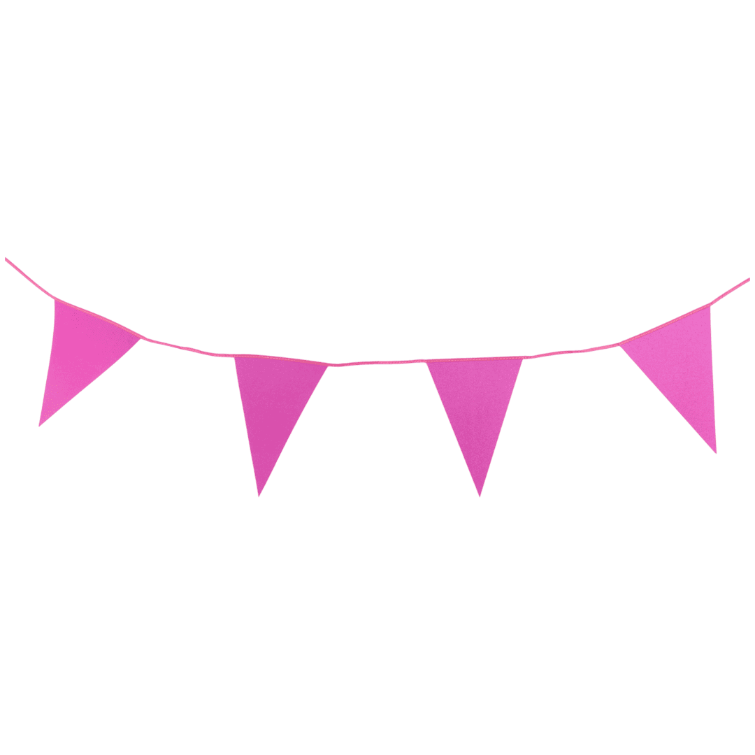 Guirlande de drapeaux à paillettes Party Universe