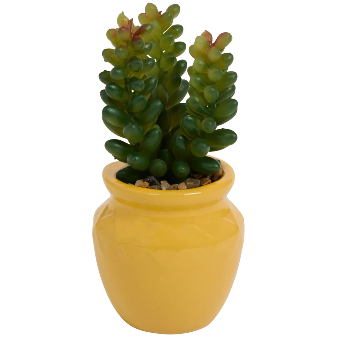 Planta suculenta artificial em vaso Home Accents