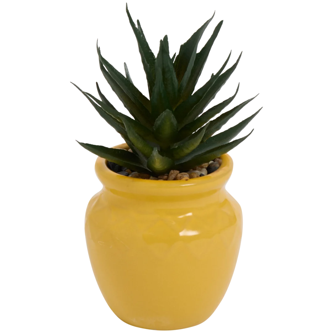 Planta suculenta artificial em vaso Home Accents