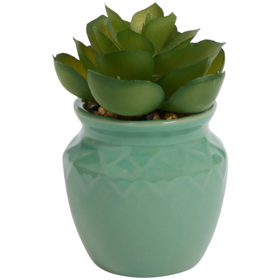 Planta suculenta artificial em vaso Home Accents