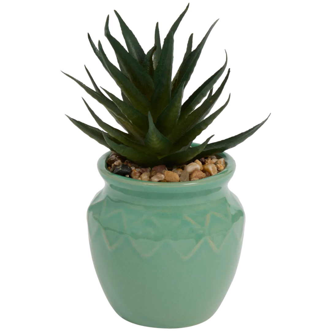 Planta suculenta artificial em vaso Home Accents