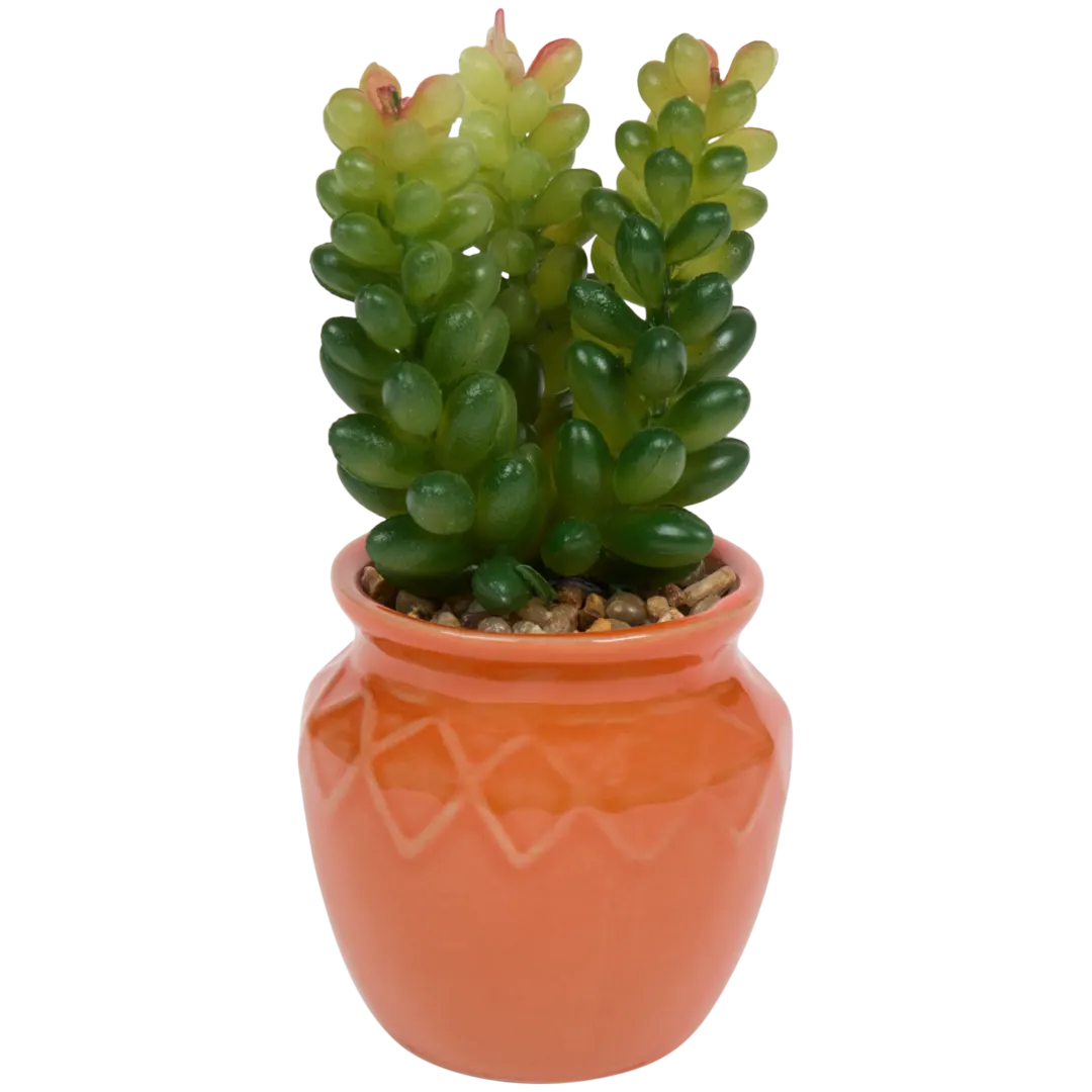 Planta suculenta artificial em vaso Home Accents