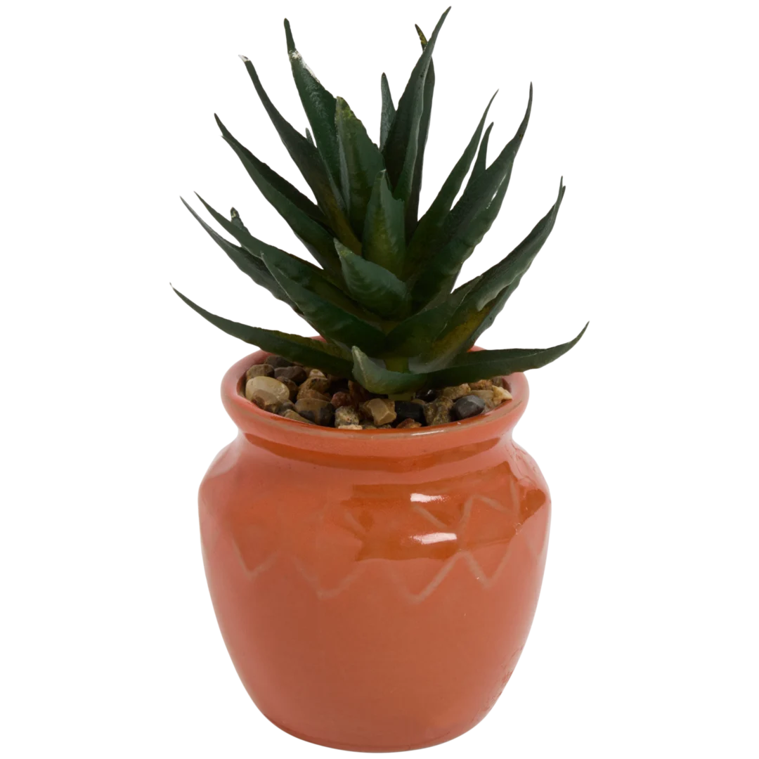 Planta suculenta artificial em vaso Home Accents